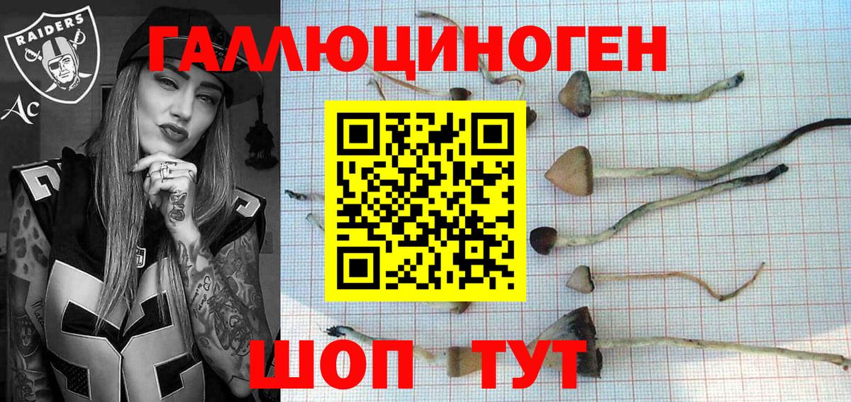 Борисоглебск  Галлюциногенные грибы прущие грибы  Вход с VPN 