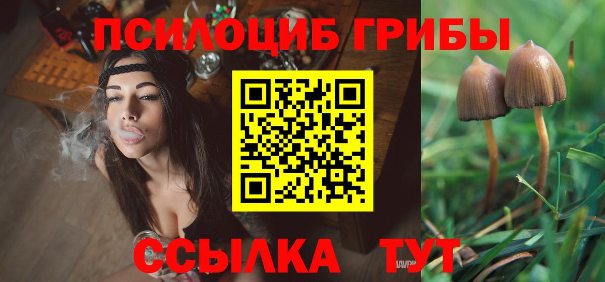 Галлюциногенные грибы MAGIC MUSHROOMS Борисоглебск
